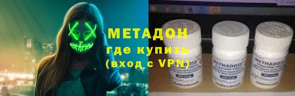 шишки Надым