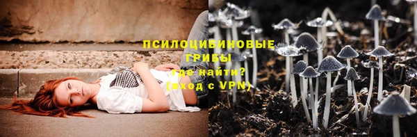 бутират Анжеро-Судженск
