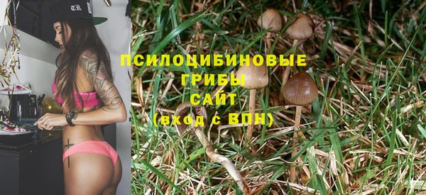 твердый Мегион