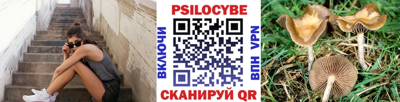 Галлюциногенные грибы MAGIC MUSHROOMS  blacksprut ТОР  Нефтегорск  наркота 